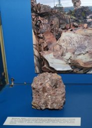 Выставки, «Астероидная опасность. Метеоритный дождь в Красноярске»
